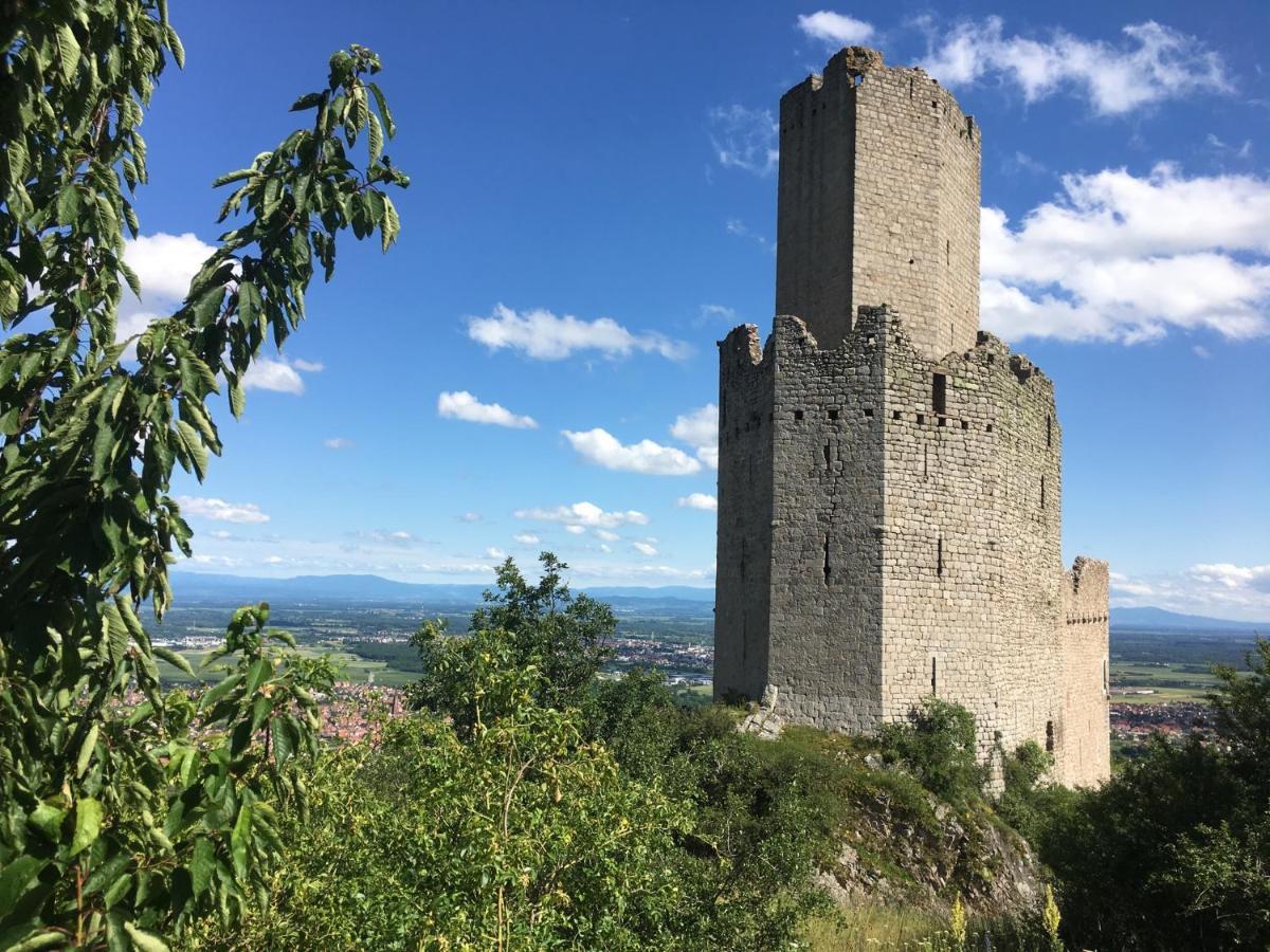 Апартаменти Au Nid De Cigogne Зелленберг Екстер'єр фото