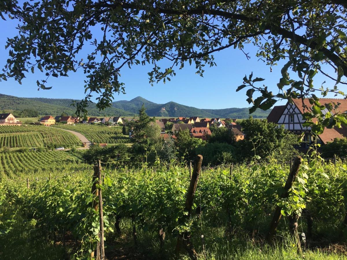 Апартаменти Au Nid De Cigogne Зелленберг Екстер'єр фото