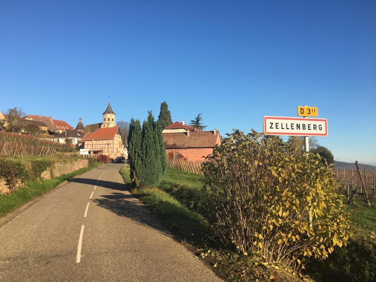 Апартаменти Au Nid De Cigogne Зелленберг Екстер'єр фото