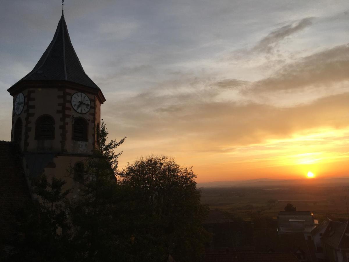 Апартаменти Au Nid De Cigogne Зелленберг Екстер'єр фото